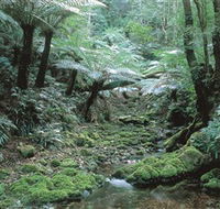 The Corn Trail Walk - Attractions Perth