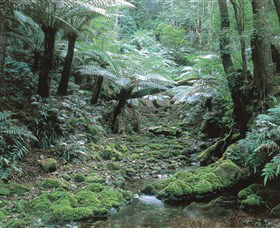 The Corn Trail Walk - Attractions Perth 0