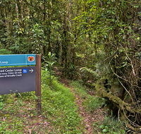 Red Cedar loop - Attractions Perth