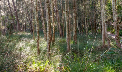 Anabranch Loop Track - Attractions Perth 0