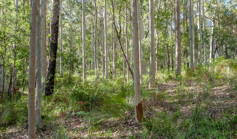 Anabranch Loop Track - Attractions Perth 2