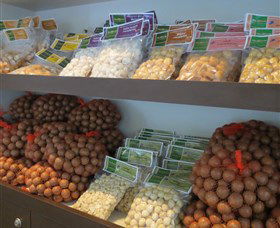 Medowie Macadamias - Attractions Perth 2