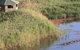 Spring Creek Bird Hide - thumb 0