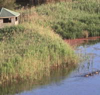 Spring Creek Bird Hide - Attractions Perth