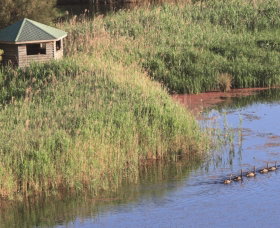Spring Creek Bird Hide - Attractions Perth 0