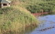 Spring Creek Wetlands Walk - thumb 0