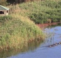 Spring Creek Wetlands Walk - Attractions Perth
