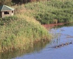 Spring Creek Wetlands Walk - Attractions Perth 0