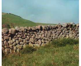 Historic Dry Stone Walls - Attractions Perth 0