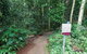 Walk With The Birds Boardwalk - thumb 0