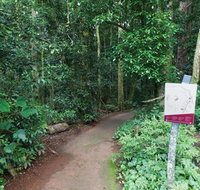 Walk with the Birds boardwalk - Attractions Perth