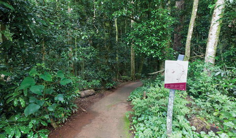Walk With The Birds Boardwalk - Attractions Perth 0