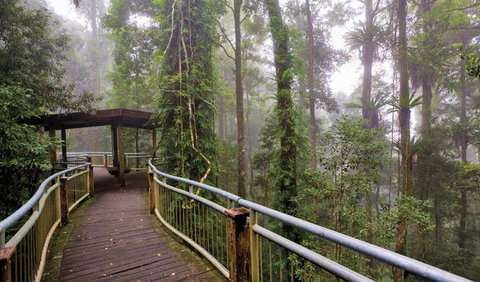 Walk With The Birds Boardwalk - Attractions Perth 3