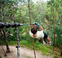 TreeTop Challenge - Attractions Perth