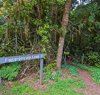 Falcorostrum loop walking track - Attractions Perth