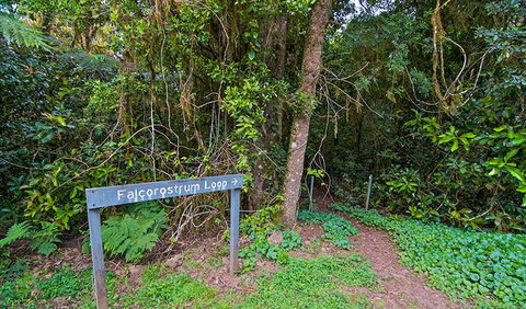 Falcorostrum Loop Walking Track - Attractions Perth 0