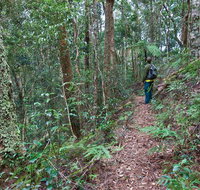 Blackbutt walking track - Attractions Perth