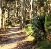Square Head track 2 - Attractions Perth