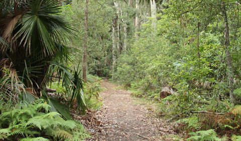 Lake Walking Track - Attractions Perth 0