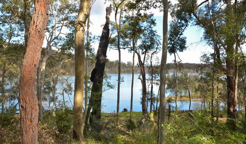 Lake Walking Track - Attractions Perth 1
