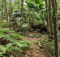Durras Lake Discovery trail - Attractions Perth