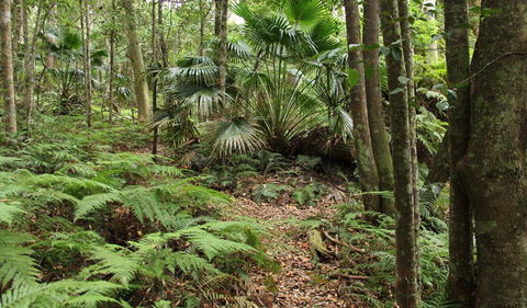 Durras Lake Discovery Trail - Attractions Perth 0