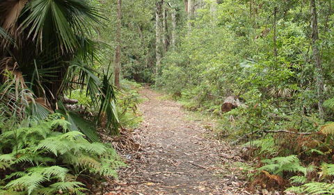 Durras Lake Discovery Trail - Attractions Perth 1