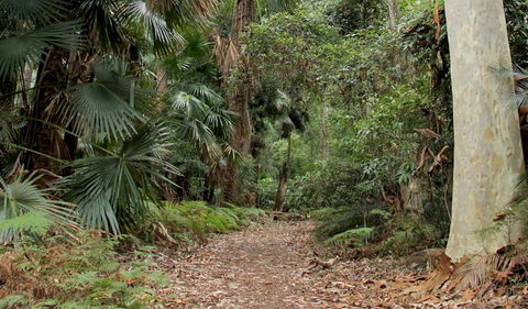 Durras Lake Discovery Trail - Attractions Perth 2