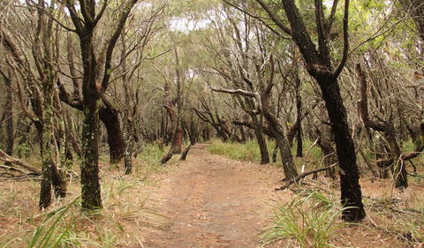 Pretty Beach To Snapper Point Walking Track - Attractions Perth 0