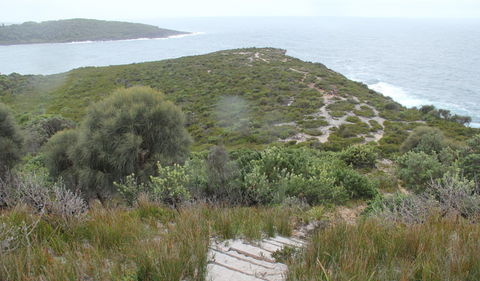 Pretty Beach To Snapper Point Walking Track - Attractions Perth 2