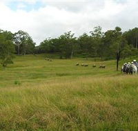 Numinbah Valley Adventure Trails - Attractions Perth