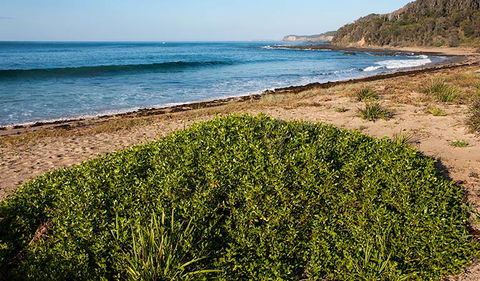 Richmond Beach - Attractions Perth 0