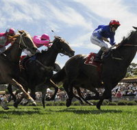 Moruya Racecourse - Attractions Perth