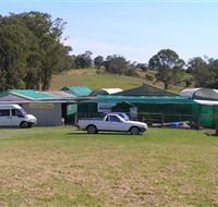 Tinonee Orchid Nursery - Attractions Perth