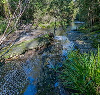 Dawson River walking track - Attractions Perth