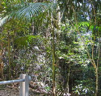 Goorgana walking track - Attractions Perth