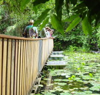 Rocky Creek Dam - Attractions Perth
