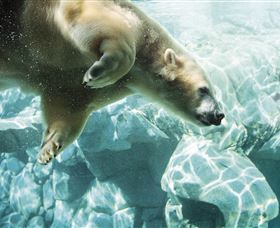Australia's Sea World - Attractions Perth 0
