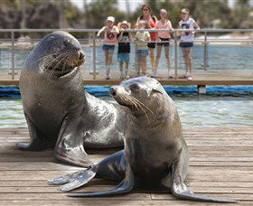 Australia's Sea World - Attractions Perth 1