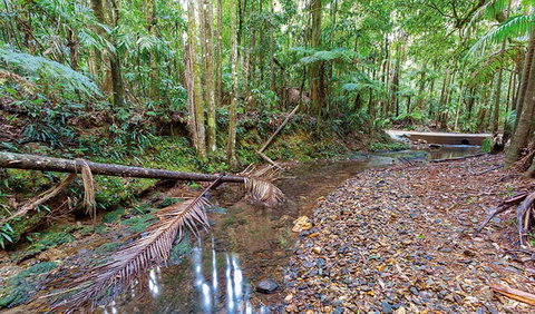 Ulidarra National Park - Attractions Perth 0