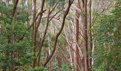 Ulidarra National Park - Attractions Perth 1
