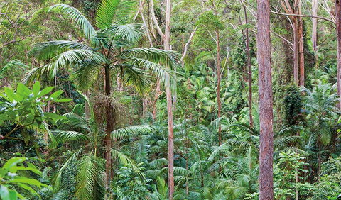 Ulidarra National Park - Attractions Perth 3