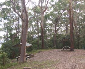 Orara East State Forest - Attractions Perth 2