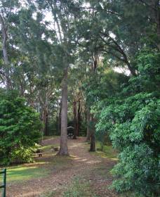 Orara East State Forest - Attractions Perth 1