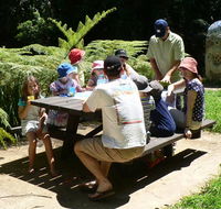 The Pines picnic area - Attractions Perth