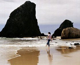 Glasshouse Rocks And Pillow Lava - Attractions Perth 1