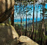 Mount Gulaga Mount Dromedary Walk - Attractions Perth