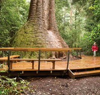 Burrawan State Forest - Attractions Perth