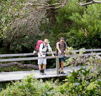 Wilsons Headland walking track - Attractions Perth