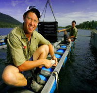 Armstrong Oysters - Attractions Perth